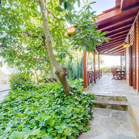 Villa Mimosa