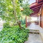 فيلة Mimosa