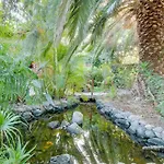 Mimosa فيلة